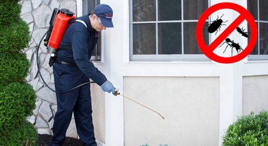 Gümüşhacıköy Böcek İlaçlama böcek ilaçlama ve haşere kontrolü — ilaclama-tr.com